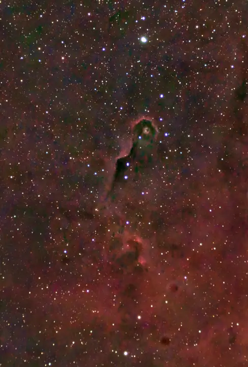Elephant's Trunk Nebula (IC 1396A)